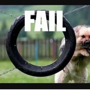 Stupid Dog