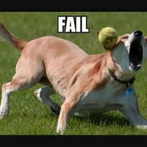 fail