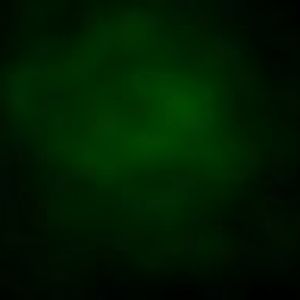 Smoke1 Green