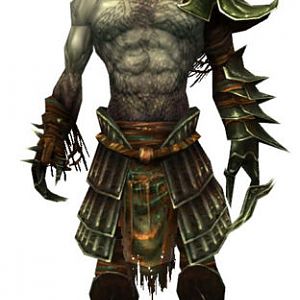 A warden from GuildWars