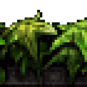top