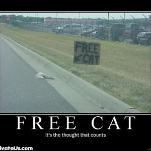 free cat demotivational poster1