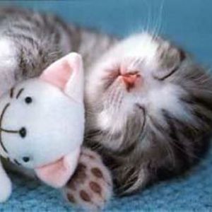 Nite-nite
