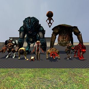 They came from Xen