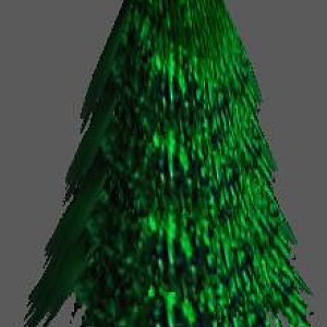 Ever Green