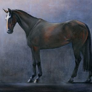 ZJ DarkHorse lg