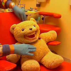 The friendly bear