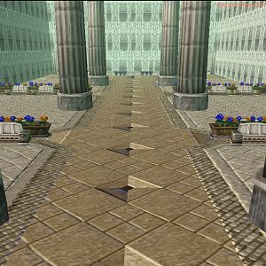 Back Arena