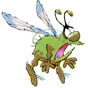 raid1000