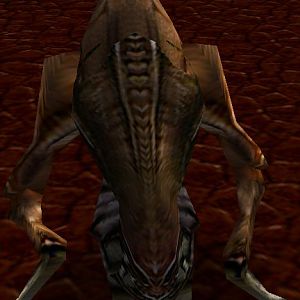 killer mantis