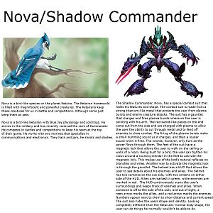 Nova A.K.A. the Shadow Commander. same character. XD