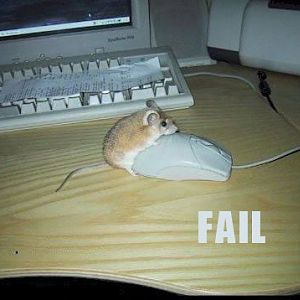 Mouses fail to use a mouse