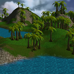 Jungle
