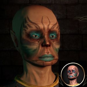 beautiful elf