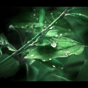 Essence by anderton