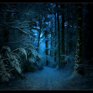 DarkForest by discurrere