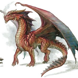 14851red dragon