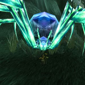 Spinne