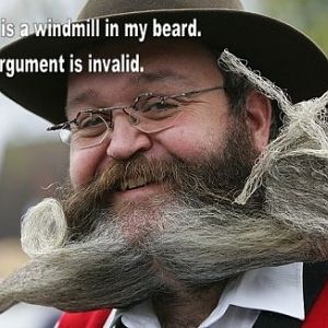 Windmill in the beard