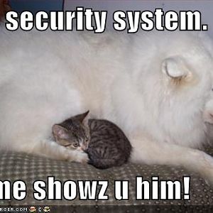 Gaurd Doggy