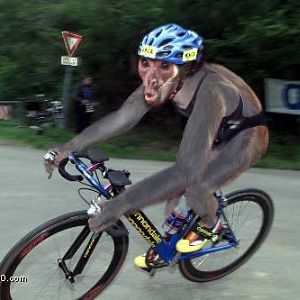 cyclemonkeyka2