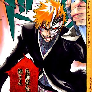 Ichigo Hollow