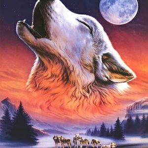 Did i tell you i like Wolves? :D