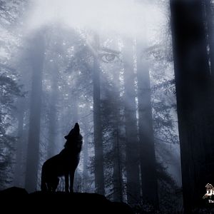 This is the pic i took my avatar from