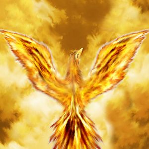 Again, Phoenix aren't animals, but i liked the pic