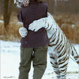 If This happened to me, i'd be peeing my pants...