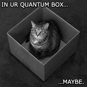 More Schrodinger's cat