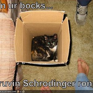 Schrodinger's cat