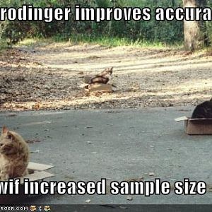 Ever heard about Schrodinger's cat? Sorry, i think not many people will find it funny :P