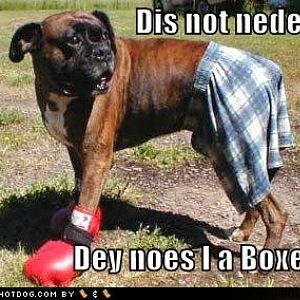 Yeah, it's a "boxer" :P