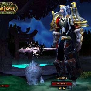 This is my WoW Char like one year ago, i don't play wow anymore since Dec 2007 (i had T4 and T5 and was going to kill Vashj and Kael with my guild), t
