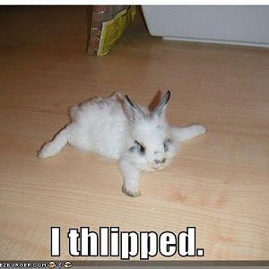 Tiny Bunneh