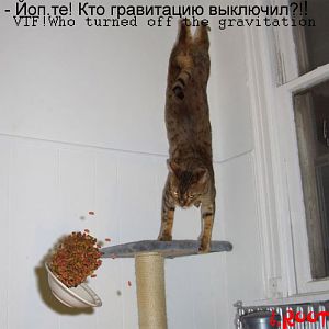 gravitation