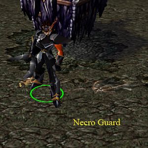Necro Guard