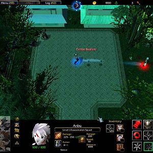 Ingame View 1