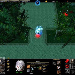 Ingame View 3