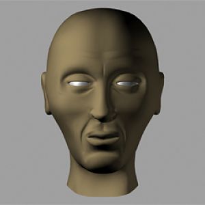 DonHead
