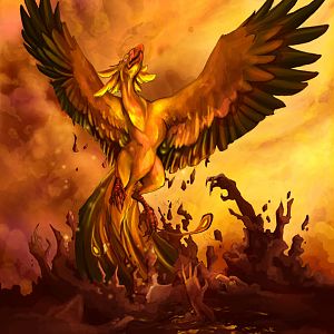 and auhm... this is another Phoenix