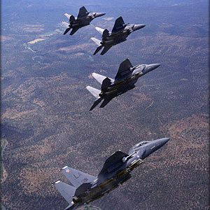 F 15E