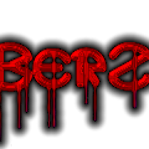 BerZ  neew
