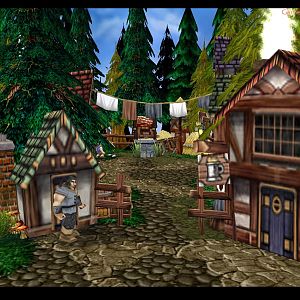 A little village to the northwest, few quests will be here, also some special food merchant, some rare plants.