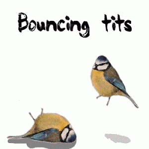 Bouncing Tits O_o