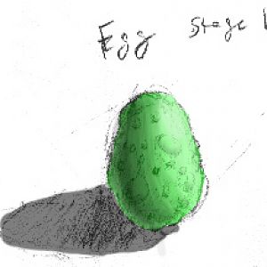 egg color2