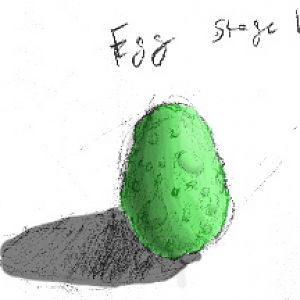 egg color