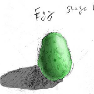 egg color3
