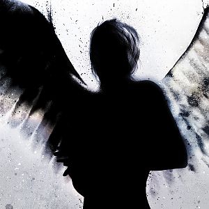 dark angel 21114